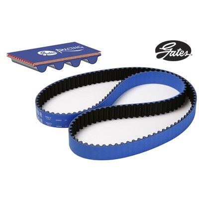 COurroie de distribution GATES FOcus RS mk2