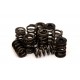 Valve Spring Set 3S-G(T)E