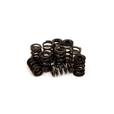 Valve Spring Set 3S-G(T)E