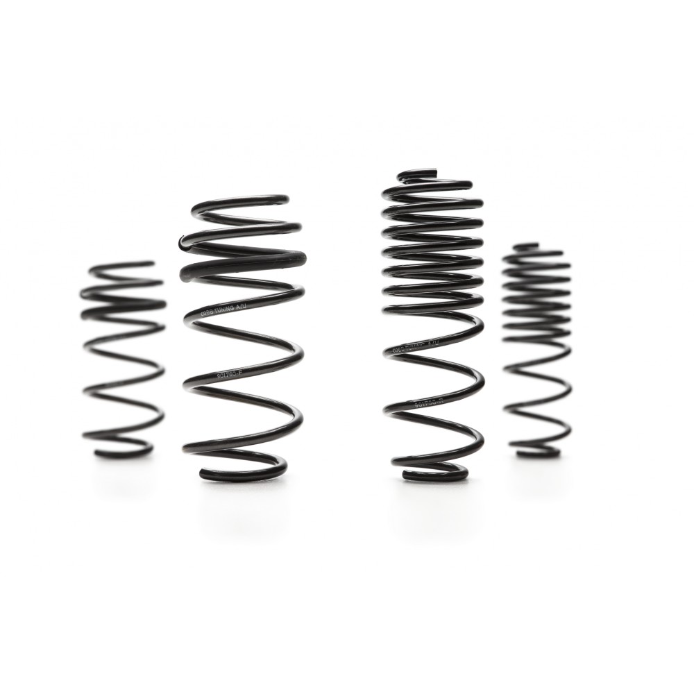 Cobb Ford Fiesta ST Sport Springs
