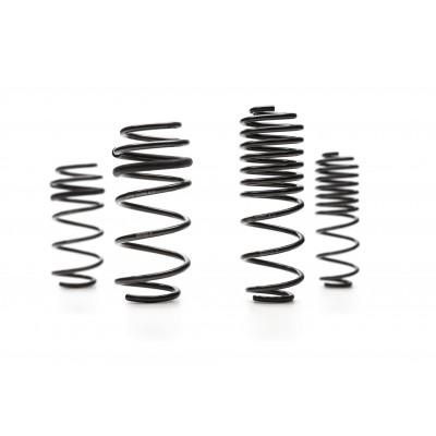 Cobb Ford Fiesta ST Sport Springs