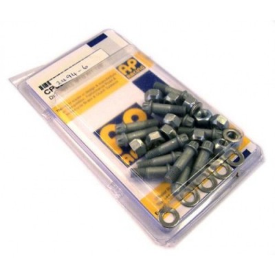 Jeu de vis de disques AP RACING CP3845-100K08