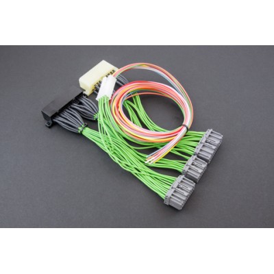 Harness conversion OBD1 sur véhicule OBD0