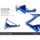 LOTUS ELISE/EXIGE 02-11 TOYOTA MODEL ENGINE REAR LOWER ARM(PILLOW BALL) 2PCS/SET