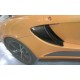 Ecope carbone Elise S2