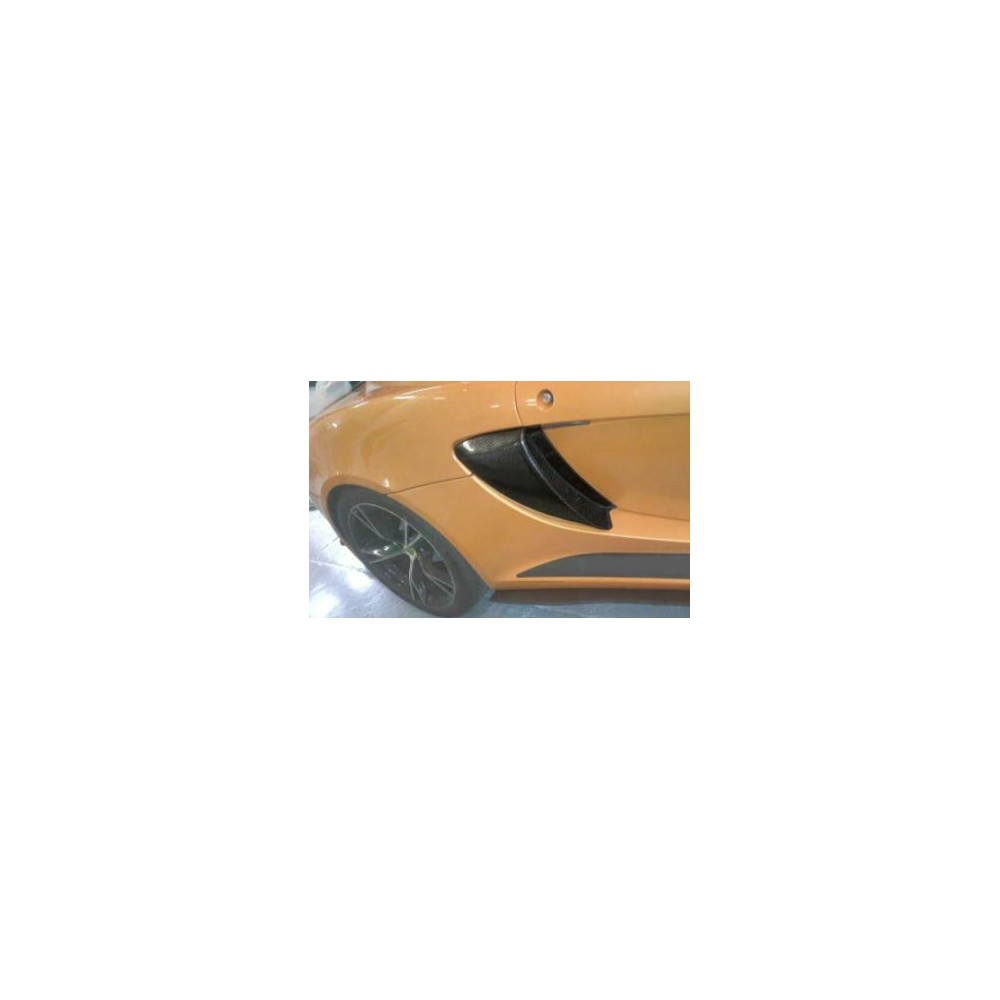 Ecope carbone Elise S2